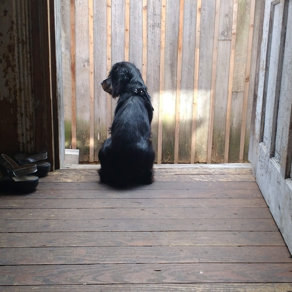 Meet your Posher, Katherine - Picture 4 of 8